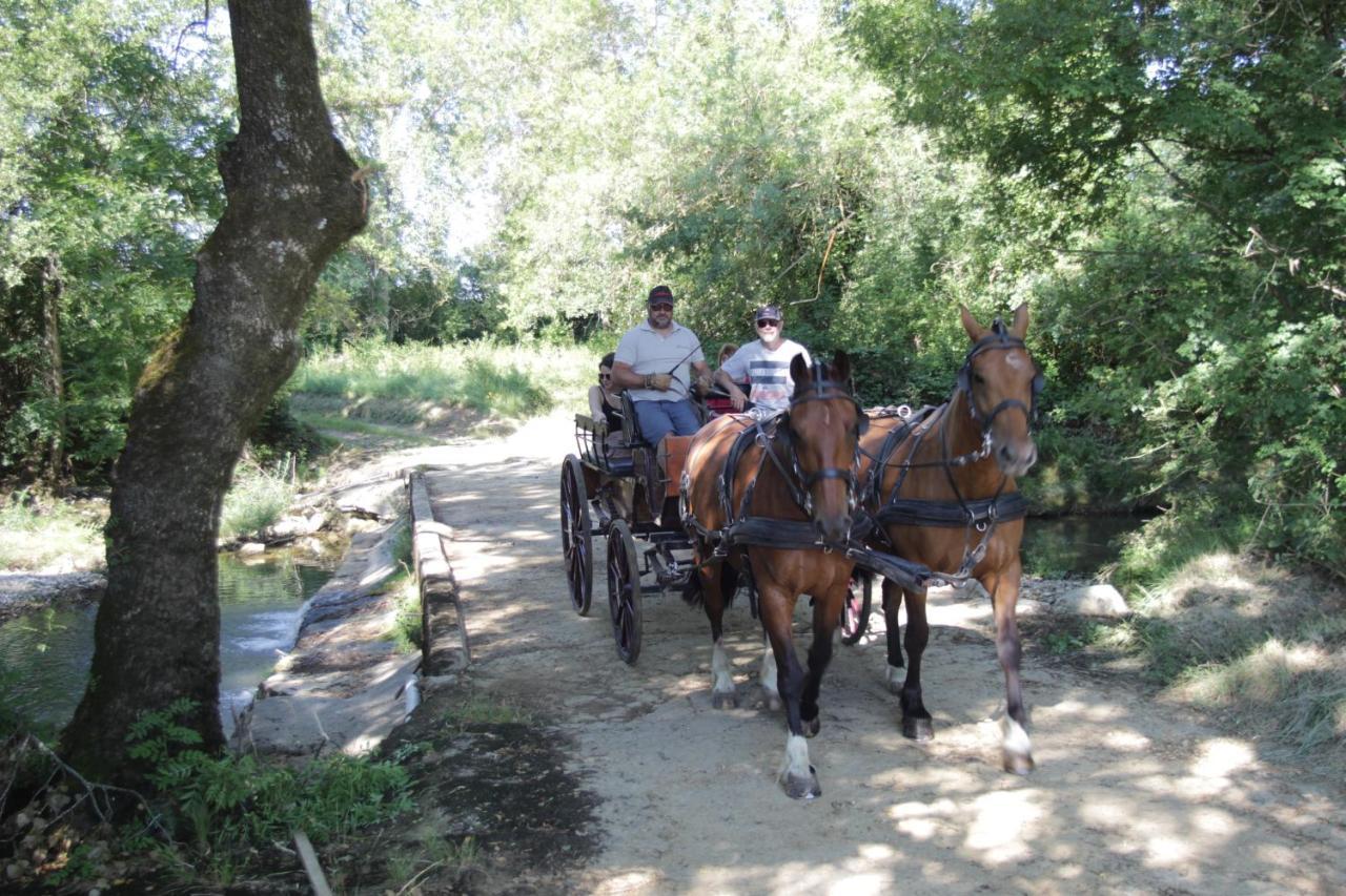Le Mas De La Coste Saint-Sauveur-de-Cruzieres Екстер'єр фото