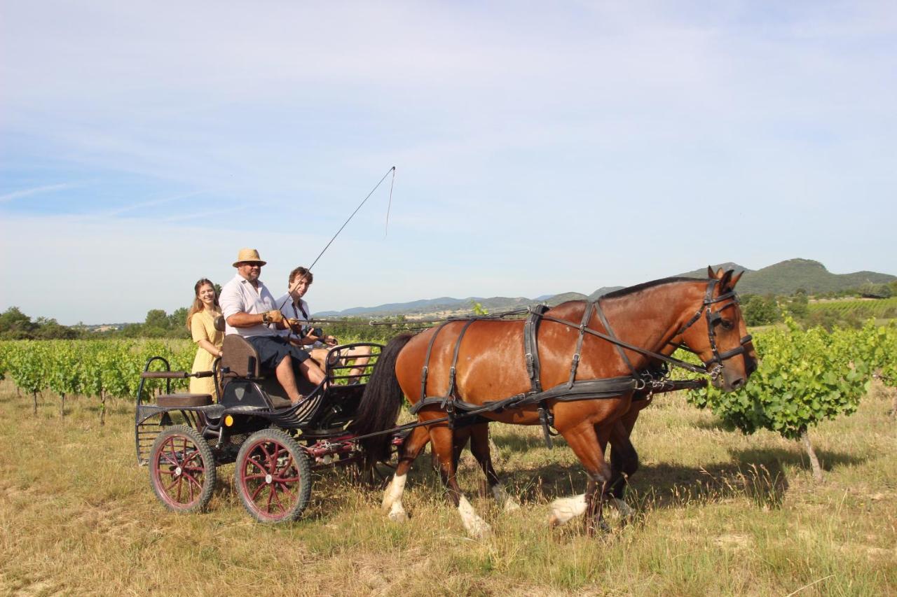 Le Mas De La Coste Saint-Sauveur-de-Cruzieres Екстер'єр фото
